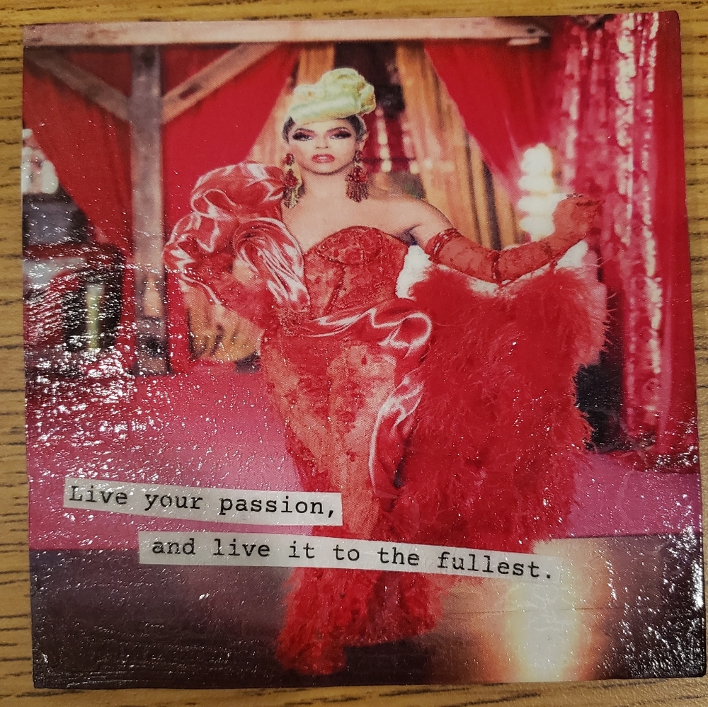 Rupaul's Drag Race, Shangela coaster